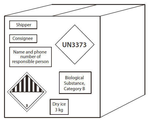 La figura es un diagrama de un paquete para envío con los rótulos correspondientes para una sustancia infecciosa de la categoría B.